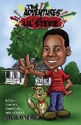 The Adventures of Lil' Stevie Book 1