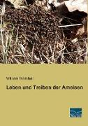 Leben und Treiben der Ameisen