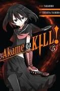 Akame Ga Kill!, Vol. 5