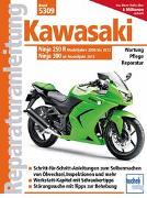 Kawasaki Ninja 250 R (2008-2012) 300 (ab 2013)