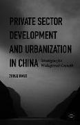 Private Sector Development and Urbanization in China