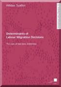 Determinants of Labour Migration Decisions