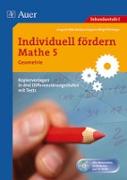 Individuell fördern Mathe 5, Geometrie