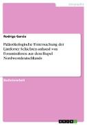 Paläoökologische Untersuchung der Lintforter Schichten anhand von Foraminiferen aus dem Rupel Nordwestdeutschlands