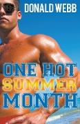 One Hot Summer Month