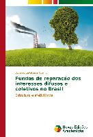 Fundos de reparação dos interesses difusos e coletivos no Brasil