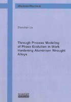 Through Process Modeling of Phase Evolution in Work Hardening Aluminium Wrought Alloys