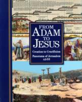 From Adam to Jesus