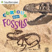 Curious about Fossils