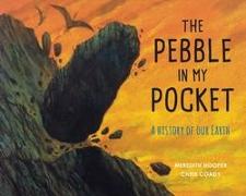 The Pebble in My Pocket