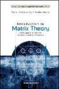 Introduction to Matrix Theory: With Applications to Business and Economics