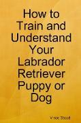 How to Train and Understand Your Labrador Retriever Puppy or Dog