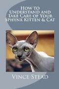 How to Understand and Take Care of Your Sphynx Kitten & Cat