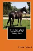 How to Care & Raise Your Missouri Fox Trotting Horse