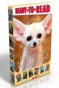 On the Go with Zooborns! (Boxed Set): Welcome to the World, Zooborns!, I Love You, Zooborns!, Hello, Mommy Zooborns!, Nighty Night, Zooborns, Splish