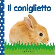 Il coniglietto