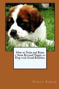 How to Train and Raise a Saint Bernard Puppy or Dog with Good Behavior