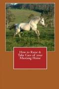 How to Raise & Take Care of Your Mustang Horse