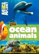 Ocean Animals (Animal Planet Animal Bites)