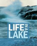 Life in a Lake