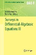 Surveys in Differential-Algebraic Equations III