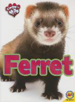 Caring for My Pet Ferret