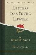 Letters to a Young Lawyer (Classic Reprint)