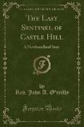 The Last Sentinel of Castle Hill