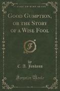 Good Gumption, or the Story of a Wise Fool (Classic Reprint)