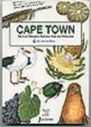 Discover the Magic - Cape Town