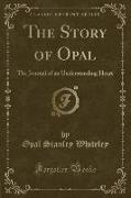 The Story of Opal