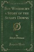 Boy Woodburn a Story of the Sussex Downs (Classic Reprint)