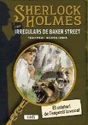 Sherlock Holmes i els irregulars de Baker Street. El misteri de l'esperit invocat