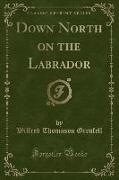 Down North on the Labrador (Classic Reprint)