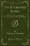 The Enchanted Burro