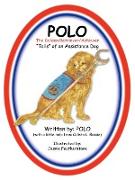Polo the Golden Retriever/Achiever