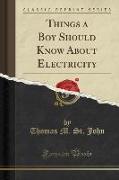 Things a Boy Should Know About Electricity (Classic Reprint)