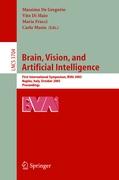 Brain, Vision, and Artificial Intelligence