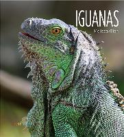 Iguanas