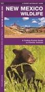 New Mexico Wildlife: A Folding Pocket Guide to Familiar Species