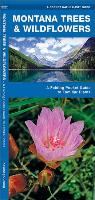 Montana Trees & Wildflowers: A Folding Pocket Guide to Familiar Species