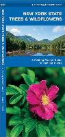 New York State Trees & Wildflowers: A Folding Pocket Guide to Familiar Species