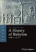 A History of Babylon, 2200 BC - AD 75