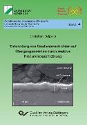 Entwicklung von Gradientenschichten auf Übergangsmetallen durch reaktive Precursorbeschichtung (Band 4)