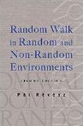 Random Walk in Random and Non-Random Environments (Second Edition)