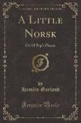 A Little Norsk
