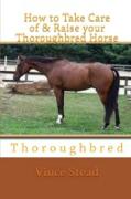 How to Take Care of & Raise Your Thoroughbred Horse