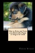 How to Raise and Train Your Rottweiler Puppy or Dog to Be Great