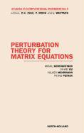 Perturbation Theory for Matrix Equations