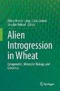 Alien Introgression in Wheat